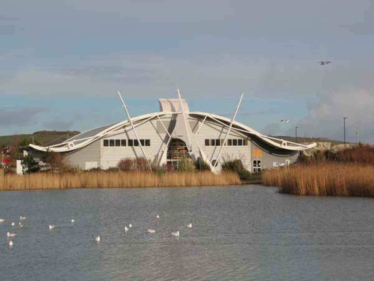 Dinosaur Isle picture gallery